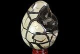 Septarian Dragon Egg Geode - Black Crystals #98896-3